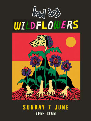 Wildflowers