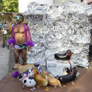 Fountain of Woof
