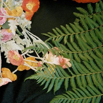 Wildflowers