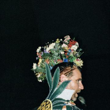 Wildflowers